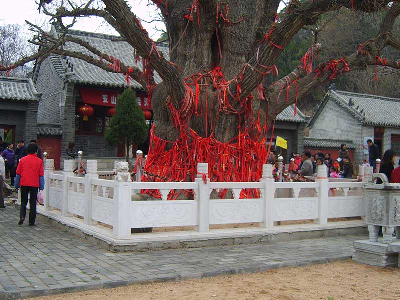 石欄桿 
